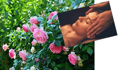 Vallee-des-roses-soin-visage-10 soins-corps-aroma-luxe